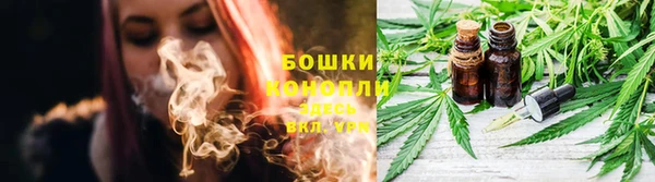apvp Аркадак