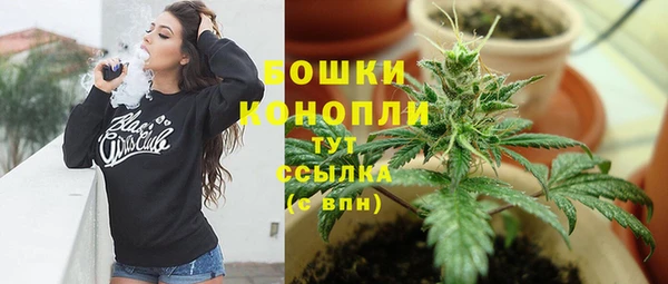 apvp Аркадак