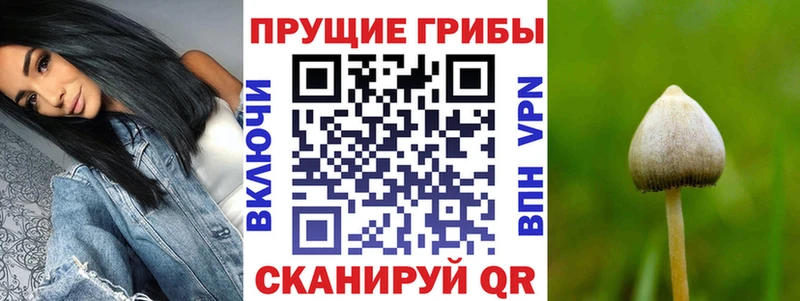 Псилоцибиновые грибы GOLDEN TEACHER  купить наркотик  Белозерск 